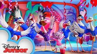 Delivering Valentines | T.O.T.S. | Disney Junior