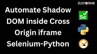 How to Automate Shadow DOM inside Cross Origin iframe using Selenium with Python?