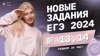 Решаем НОВЫЕ задания ЕГЭ 2024 за 1 час | Русский язык с Верой ЕГЭ Flex