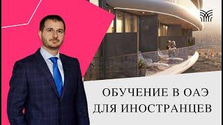 Почему ОАЭ лучшее место для учебы? Плюсы образования в ОАЭ.