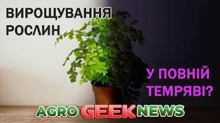 ВИРОЩУВАННЯ рослин У ТЕМРЯВІ. АВТОМАТИЧНА боротьба з БУР`ЯНАМИ. Оновлена Сівалка Vaderstad