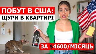 ЯК ВЛАШТОВАНИЙ ПОБУТ В США? | Лос Анджелес  | Українці в США