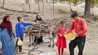 Collecting firewood in the mountains: a good day with the Haider family