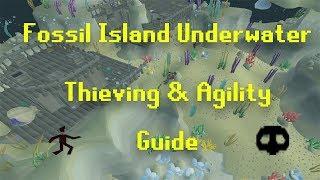 Fossil Island Underwater Thieving And Agility Guide OSRS