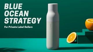 BLUE OCEAN STRATEGY for Physical Product Brands | Amazon FBA & Shopify Product Research