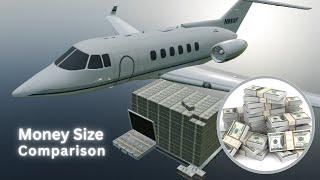 Money Size Comparison | Perspective | 3D