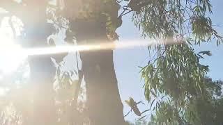 Wangi Falls at Litchfield National Park (Australia)