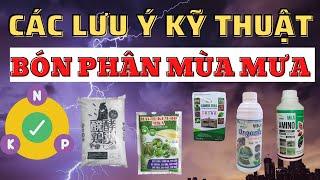 Kỹ thuật sử dụng phân bón trong mùa mưa hiệu quả và an toàn cho cây trồng | Chăm sóc cây mùa mưa