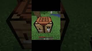 Minecraft in a Crafting Table #shorts