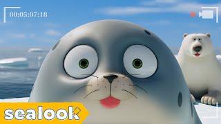SEALog: Spend a day with SealsㅣSEALOOKㅣEP.89