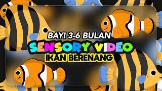 Tontonan Bayi 0 - 6 Bulan | Ikan Berenang Lucu Dan Menggemaskan