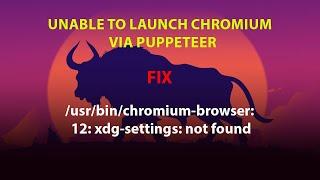 UBUNTU FIX: chromium-browser: 12: xdg-settings: not found /pm2-username.service is not a snap cgroup