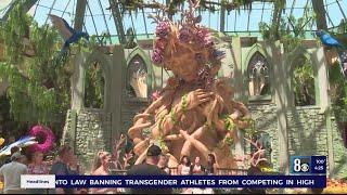 Bellagio Conservatory reveals summer display