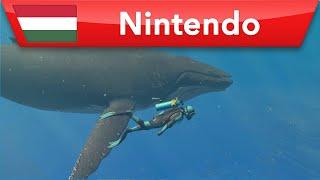 Mély merülés az Endless Ocean Luminous világában  | Nintendo Switch