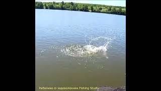 А че фрикцион не срабатывает!!!  Случай на рыбалке. Fishing incident.