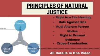 Principles of Natural Justice | Principles of Natural Justicein administrative law | in Hindi |