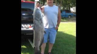 huge monster catfish, caught in lake texhoma