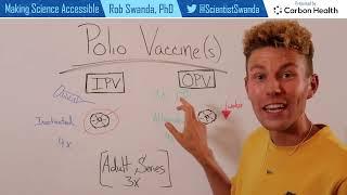 How the Polio Vaccine (IPV and OPV) Works