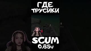 НЮХАТЕЛЬ ТРУСИКОВ #scum #pvp #survival #shorts #выживание #stream