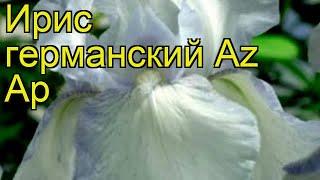 Ирис германский Аз Ап. Краткий обзор, описание характеристик iris germanica Az Ap