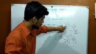 Variable reluctance stepper motor