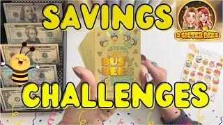 Savings ChallengesANY Budget  Newbee TIPS!