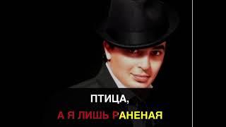 Руслан Набиев-Поцелуями тает караоке