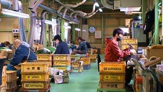Amazing japanese knife factory. The mass production process of modern kitchen knives.