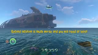 Subnautica - Nuclear reactor fragments