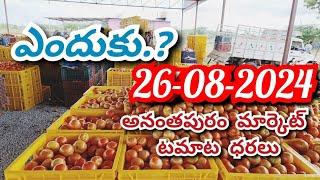 26-08-2024 today anantapur tomato rates/ TODAY TOMATO MARKET PRICES /Today tomato price