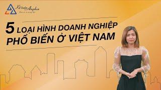 5 loại hình doanh nghiệp tại Việt Nam và Ưu Nhược Điểm | Kế toán Anpha