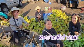 #streetfood #เที่ยวลาวใต้ ตลาดเช้าเมืงปากเซ #อาหารตามฤดูกาล #food  #แขวงจำปาสัก #สปปลาว #สาวลาว