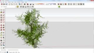 How To Create 3D Tree In Sketchup