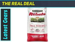 Pennington The Rebels Tall Fescue: The Toughest Grass Seed?