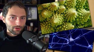 El MAYOR SECRETO del Cerebro Humano - La FÍSICA CUÁNTICA Provoca la CONSCIENCIA