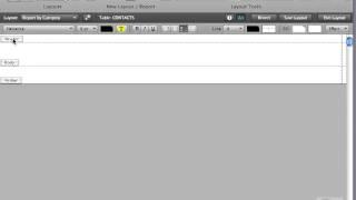 FileMaker Tutorial - 110 - Building a Report