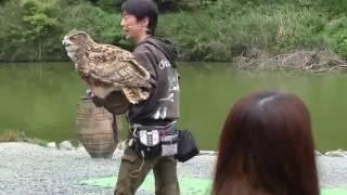 掛川花鳥園　バードショー