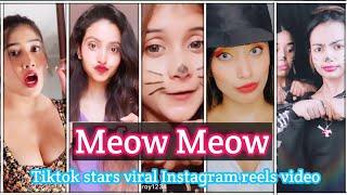 Meow Meow tiktok stars cat expressions trending instagram reels video