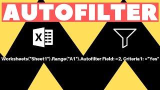 Autofilter (Beginner Tutorial) | Excel VBA Macro