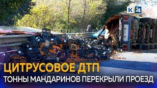 Фура с мандаринами опрокинулась на проезжающие автомобили на трассе в Сочи