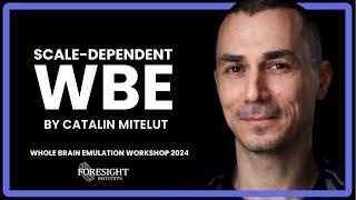 Catalin Mitelut | Scale-dependent WBE: An Experimental Driven Research Program @ WBE Workshop 2024