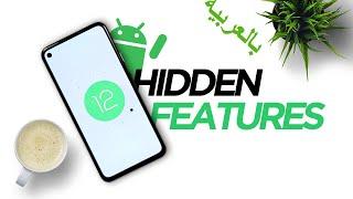 Android 12 DP1 Hidden Features You Cannot Try Yet, Android 12 Concept جوجل أندرويد 12