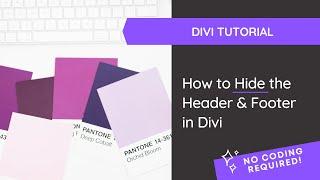 How to Hide the Header and Footer in Divi *no coding required*