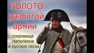 Золото разбитой армии: сокровища Наполеона в русских лесах