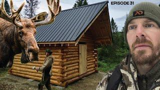 Log Cabin Build on Off-Grid Homestead |EP31| MOOSE