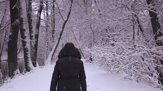 Sound Effects - Walking in Snow