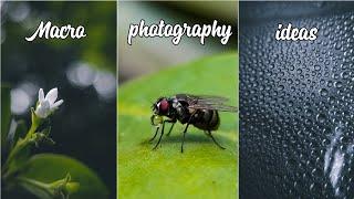 Macro photography ideas | Mobile photography