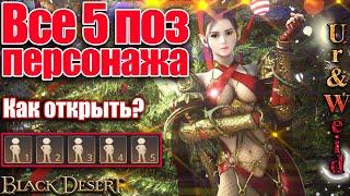 Все 5 поз персонажа в Black Desert: как открыть - требования + прохождение квестов