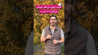 مصوبه شورای عالی اقلاب فرهنگی برای کنکور ۱۴۰۴ #تاثیر_معدل #کنکور ۱۴۰۴ #کنکور_سراسری