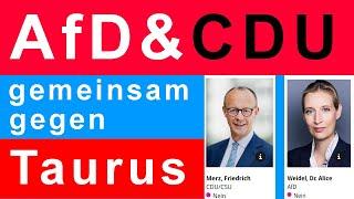 Brandmauer zwischen CDU/CSU-Fraktion und AfD krachend eingestürzt!